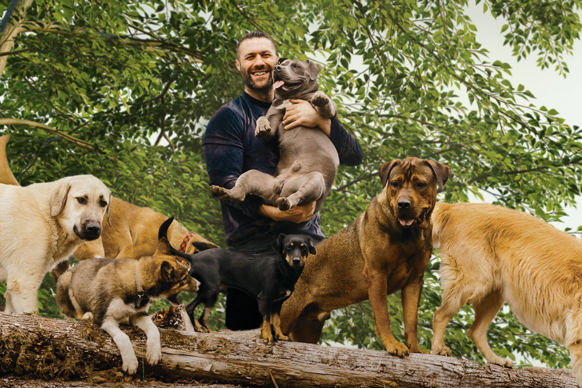 AN EVENING WITH LEE ASHER